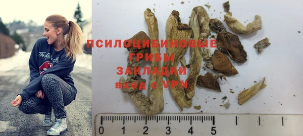 прущая мука Алзамай