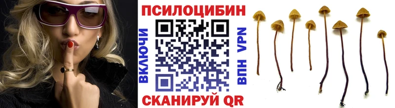 как найти закладки  Махачкала  Галлюциногенные грибы мицелий 