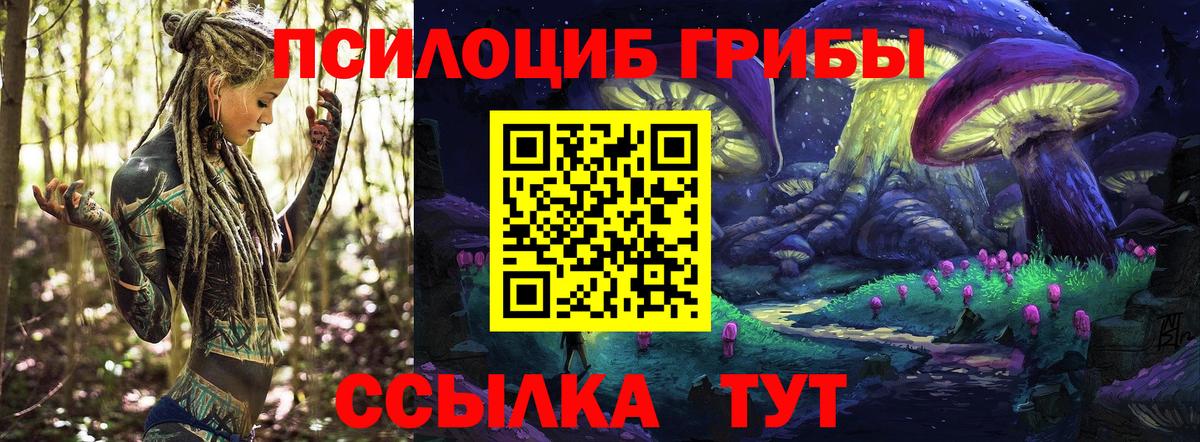 Махачкала  Псилоцибиновые грибы Cubensis  Вход с VPN 
